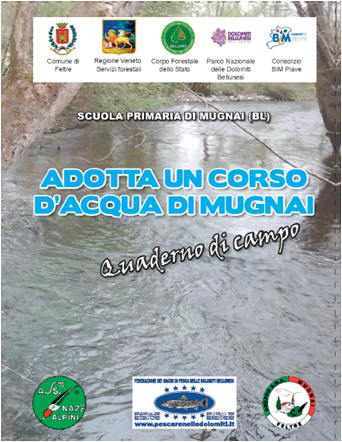 LA FONDAZIONE E LE SCUOLE